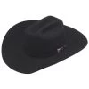 TWISTER WESTERN 20X FUR COWBOY HAT -Western Fashion 14171aff 0c71 4f47 8872 764a5074a652.3ab7ba0889eafa05ff5f48f5a25fe739