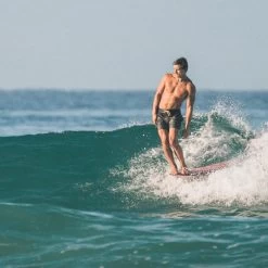 HOWLER MEN'S Los Vaqueros Boardshorts -Western Fashion DSC 4786