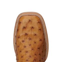 R. WATSON MEN'S OSTRICH ANTIQUED SADDLE BRUCIAT BOOT -Western Fashion RRRRRRR