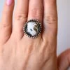 WHITE BUFFALO ROUND RING- SIZE 7.75 2 WHITE BUFFALO ROUND RING- SIZE 7.75 -Western Fashion image 025abf8a 0f1b 4043 96c6 6eb6fb781e0e